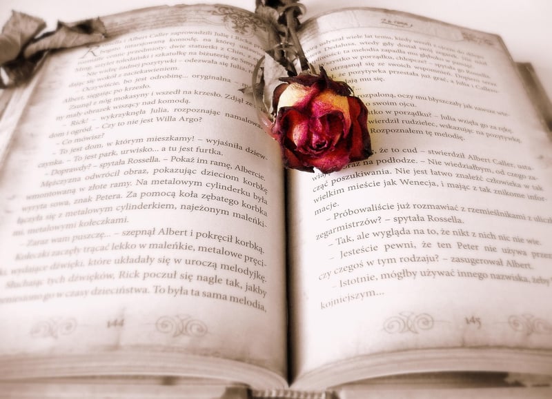 Spellbook of Seeds
