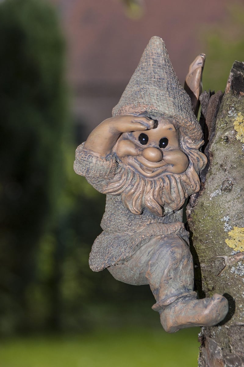 Gnomes